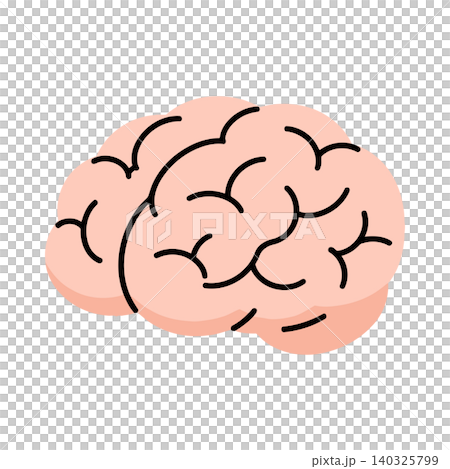 Human brain illustration in simple flat vector style for educational materials and medical branding Human brain illustration in simple flat vector style for educational materials and medical branding 140325799