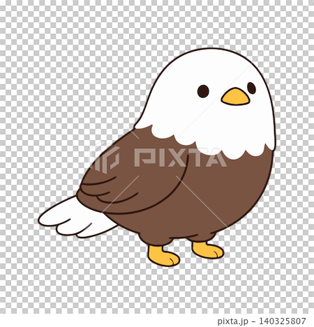 Bald eagle cartoon character in flat vector style for wildlife illustration and educational material 140325807