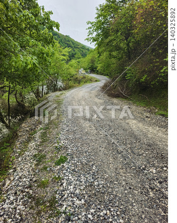 Winding gravel path through lush green forest Winding gravel path through lush green forest 140325892
