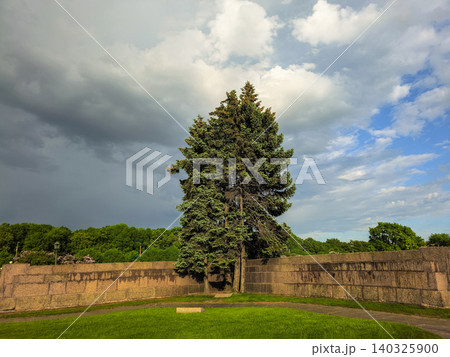 Lonely tree stands tall against stormy sky. Lonely tree stands tall against stormy sky. 140325900