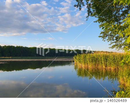 Picturesque summer landscape: mirror lake with reeds, reflection of clouds in the water, green forest on the horizon Picturesque summer landscape: mirror lake with reeds, reflection of clouds in the water, green forest on the horizon 140326489