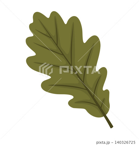Oak Leaf Illustration Vector Template Oak Leaf Illustration Vector Template 140326725
