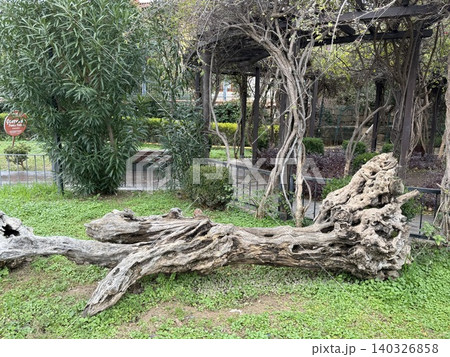 Fallen tree trunk in a park with lush greenery and surrounding garden structures Fallen tree trunk in a park with lush greenery and surrounding garden structures 140326858