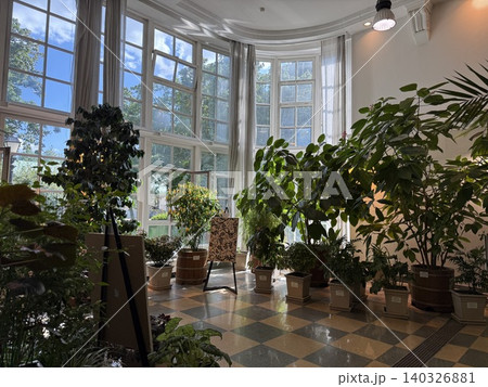 Sunlit indoor garden space with various potted plants and large windows in background Sunlit indoor garden space with various potted plants and large windows in background 140326881