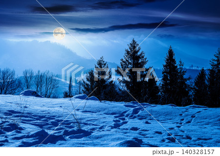 carpathian mountain landscape in winter at night. full moon over spruce forest on the snow covered hill. mountain scenery of ukraine on a cold weather. transcarpathia region. mysterious fantasy 140328157