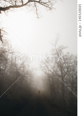 Walking in a dark forest Walking in a dark forest 140328685