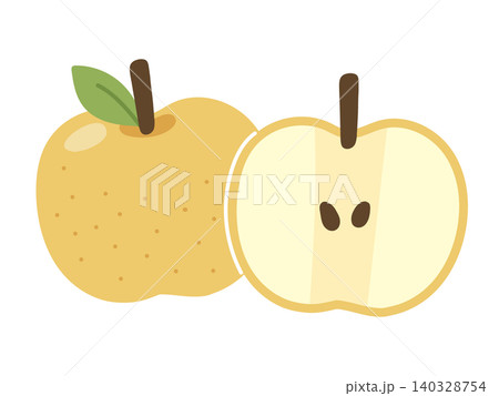 赤梨の丸ごとと断面(半分)のイラストセット 赤梨の丸ごとと断面(半分)のイラストセット 140328754