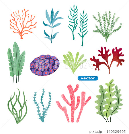 Set of seaweed and corals isolated on white background. Underwater watercolor algae set 140329495
