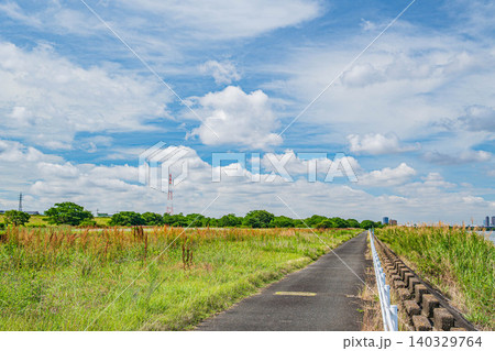 淀川河川公園出口野草地区 大阪府枚方市 淀川河川公園出口野草地区 大阪府枚方市 140329764
