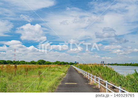 淀川河川公園出口野草地区 大阪府枚方市 淀川河川公園出口野草地区 大阪府枚方市 140329765