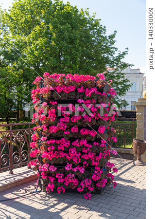 Vertical flower tower covered with bright pink geraniums in modular planter Vertical flower tower covered with bright pink geraniums in modular planter 140330009