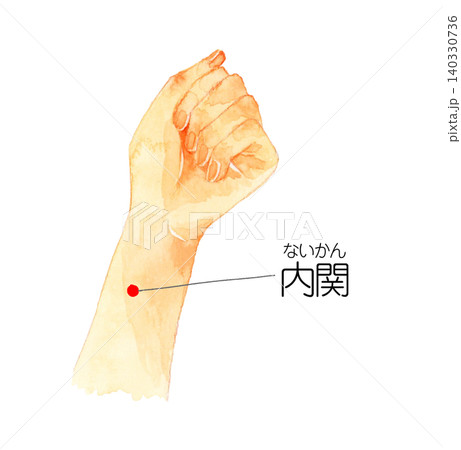 内関のツボの図解　手描き水彩イラスト素材 140330736