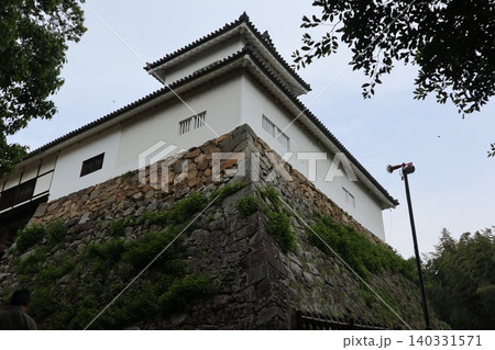 世界遺産登録を目指す琵琶湖八景の彦根城の風景 世界遺産登録を目指す琵琶湖八景の彦根城の風景 140331571