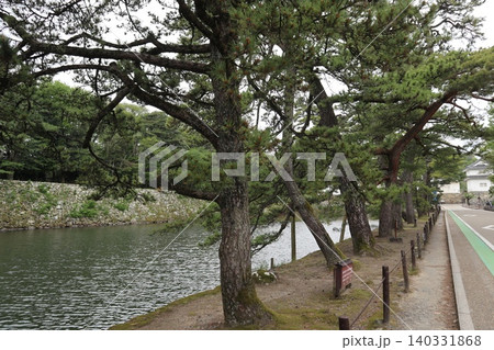 世界遺産登録を目指す琵琶湖八景の彦根城玄宮楽々園の風景 世界遺産登録を目指す琵琶湖八景の彦根城玄宮楽々園の風景 140331868