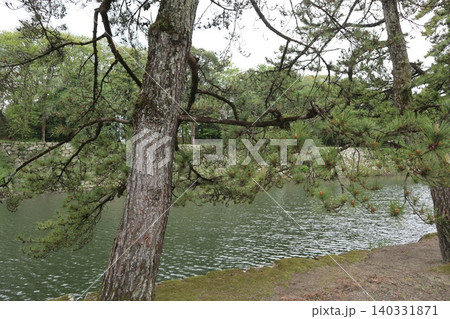 世界遺産登録を目指す琵琶湖八景の彦根城玄宮楽々園の風景 140331871