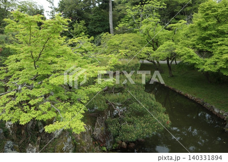 世界遺産登録を目指す琵琶湖八景の彦根城玄宮楽々園の風景 世界遺産登録を目指す琵琶湖八景の彦根城玄宮楽々園の風景 140331894