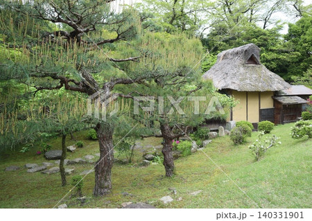 世界遺産登録を目指す琵琶湖八景の彦根城玄宮楽々園の風景 世界遺産登録を目指す琵琶湖八景の彦根城玄宮楽々園の風景 140331901
