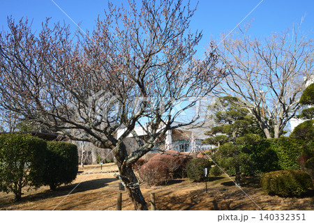 茨城県植物園リニューアルオープン #25 茨城県植物園リニューアルオープン #25 140332351