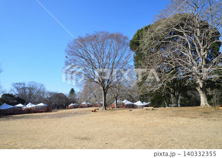 茨城県植物園リニューアルオープン #29 茨城県植物園リニューアルオープン #29 140332355