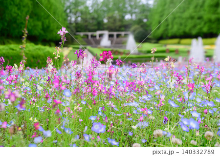 ネモフィラ等の花々が咲き乱れる風景写真 140332789