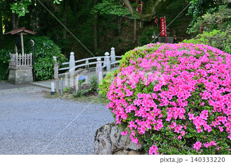 サツキの咲く頃 神橋 唐沢山神社参道 栃木県佐野市 サツキの咲く頃 神橋 唐沢山神社参道 栃木県佐野市 140333220