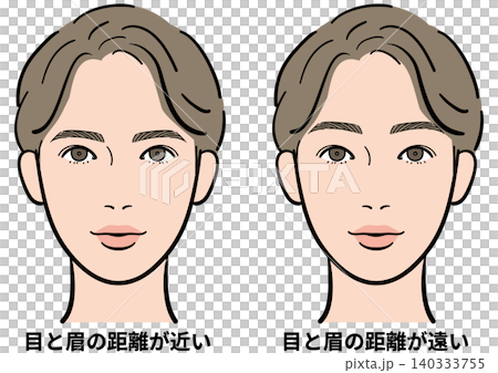 男性 目と眉の距離(近い・遠い) 比較イラスト 男性 目と眉の距離(近い・遠い) 比較イラスト 140333755