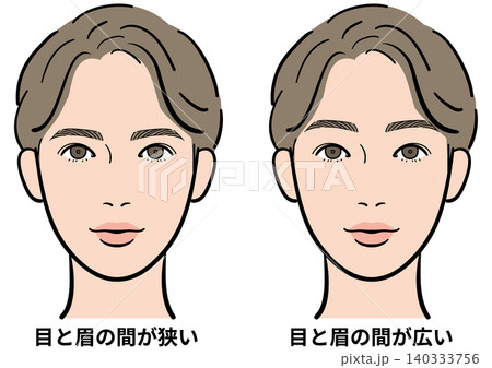 男性　目と眉の間（狭い・広い）　比較イラスト 140333756