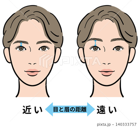 男性　目と眉の距離（近い・遠い）　比較イラスト　矢印あり 140333757