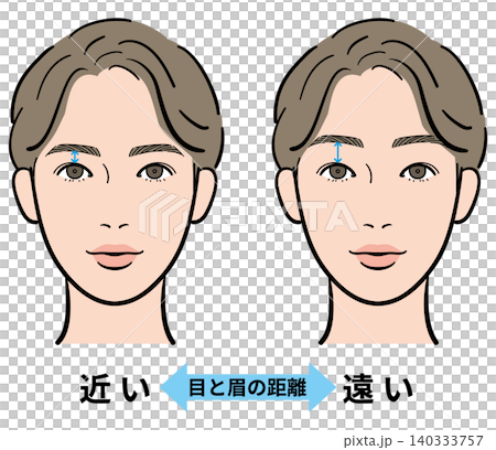 男性　目と眉の距離（近い・遠い）　比較イラスト　矢印あり 140333757