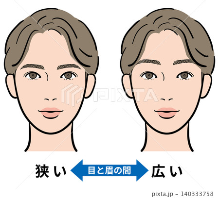 男性　目と眉の間（狭い・広い）　比較イラスト 140333758