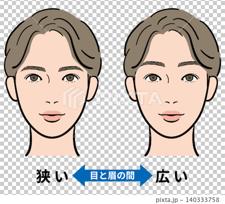 男性　目と眉の間（狭い・広い）　比較イラスト 140333758