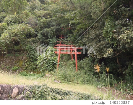 森の中に続く鳥居の神秘的な風景 森の中に続く鳥居の神秘的な風景 140333827