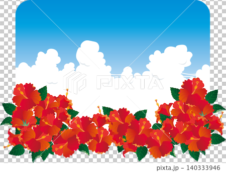 Background material <Summer, hibiscus and sky image background, Okinawa, Hawaii, tropical, landscape orientation> 140333946