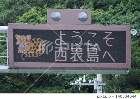 沖縄県_西表島_イリオモテヤマネコ注意喚起(白浜) 沖縄県_西表島_イリオモテヤマネコ注意喚起(白浜) 140334044