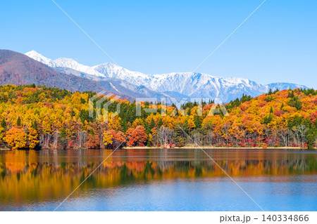 青木湖の紅葉と白馬の山並み 青木湖の紅葉と白馬の山並み 140334866