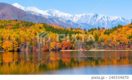 青木湖の紅葉と白馬の山並み 青木湖の紅葉と白馬の山並み 140334870