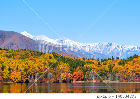 青木湖の紅葉と白馬の山並み 青木湖の紅葉と白馬の山並み 140334875