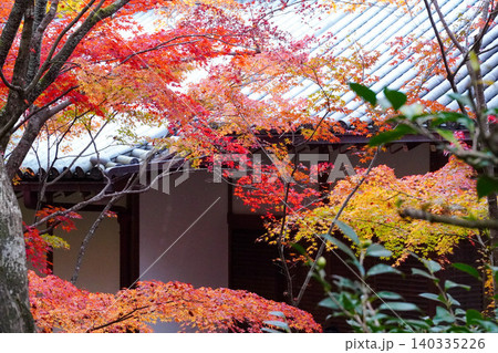 京都嵯峨野の寺院の楓の紅葉 京都嵯峨野の寺院の楓の紅葉 140335226