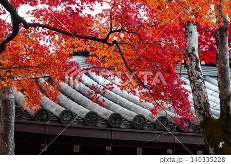 京都嵯峨野の寺院の楓の紅葉 京都嵯峨野の寺院の楓の紅葉 140335228