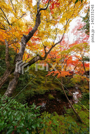 京都嵯峨野の寺院の楓の紅葉 京都嵯峨野の寺院の楓の紅葉 140335248