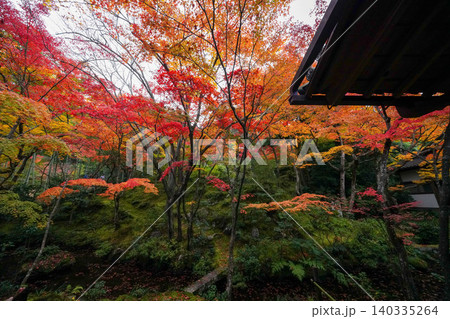 京都嵯峨野の寺院の楓の紅葉 京都嵯峨野の寺院の楓の紅葉 140335264