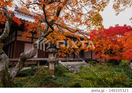 京都嵯峨野の寺院の楓の紅葉 京都嵯峨野の寺院の楓の紅葉 140335321