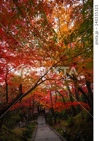 京都嵯峨野の寺院の楓の紅葉 京都嵯峨野の寺院の楓の紅葉 140335323