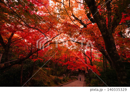 京都嵯峨野の寺院の楓の紅葉 京都嵯峨野の寺院の楓の紅葉 140335329