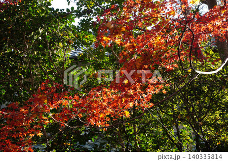 京都洛北上高野の寺院の紅葉した庭園 京都洛北上高野の寺院の紅葉した庭園 140335814