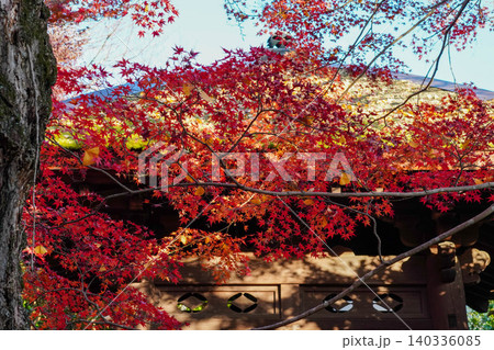 京都洛北上高野の寺院の楓の紅葉 京都洛北上高野の寺院の楓の紅葉 140336085