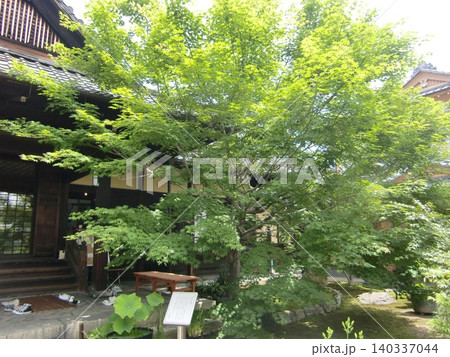 東福寺塔頭勝林寺 140337044
