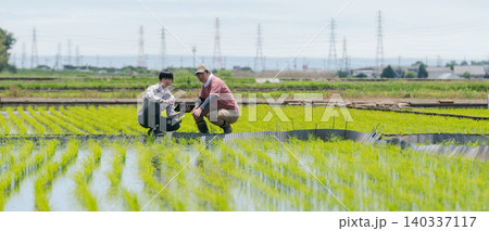 田植えをする人たち(バナー) 田植えをする人たち(バナー) 140337117