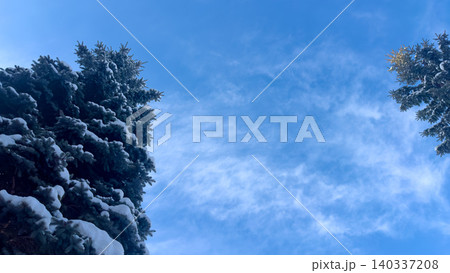 雪が積もった木　雪が積もるもみの木と冬の空　北海道旭川市 140337208
