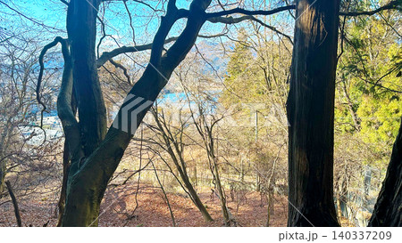紅葉した木々 河口湖を望む森林の風景 紅葉した木々 河口湖を望む森林の風景 140337209